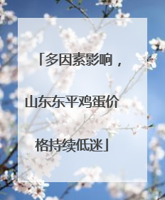多因素影响，山东东平鸡蛋价格持续低迷