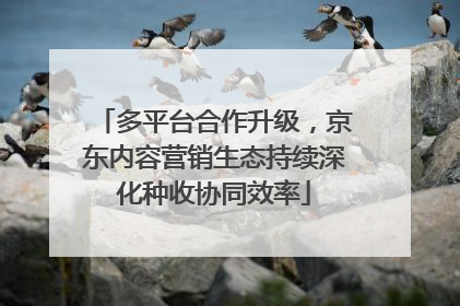 多平台合作升级，京东内容营销生态持续深化种收协同效率