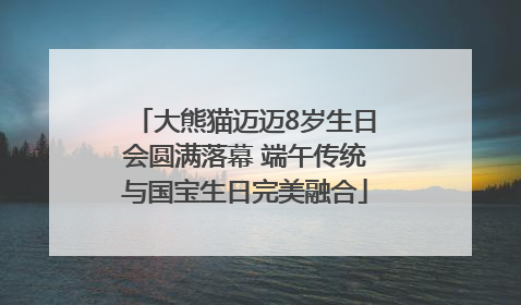 大熊猫迈迈8岁生日会圆满落幕 端午传统与国宝生日完美融合