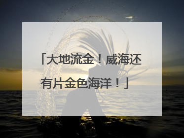 大地流金！威海还有片金色海洋！