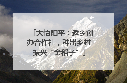 大悟阳平：返乡创办合作社，种出乡村振兴“金稻子”