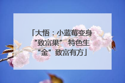 大悟：小蓝莓变身“致富果” 特色生“金”致富有方