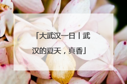 大武汉一日丨武汉的夏天，真香