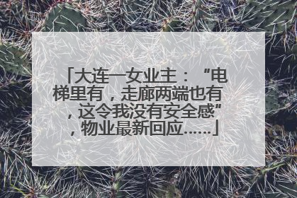 大连一女业主：“电梯里有，走廊两端也有，这令我没有安全感”，物业最新回应……