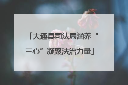 大通县司法局涵养“三心”凝聚法治力量