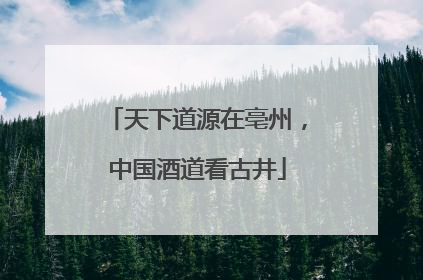 天下道源在亳州，中国酒道看古井