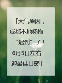 天气原因，成都本地杨梅“迟到”了！6月5日左右迎最佳口感