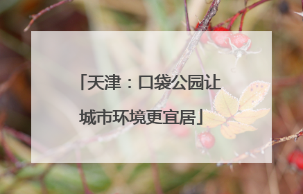 天津：口袋公园让城市环境更宜居