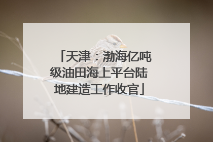 天津：渤海亿吨级油田海上平台陆地建造工作收官