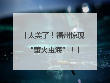 太美了！福州惊现“萤火虫海”！