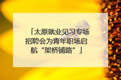 太原就业见习专场招聘会为青年职场启航“架桥铺路”
