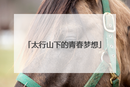 太行山下的青春梦想
