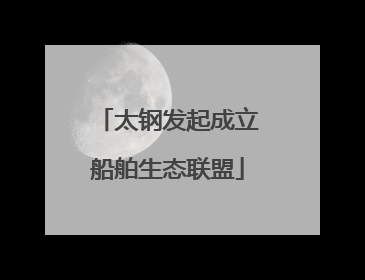 太钢发起成立船舶生态联盟
