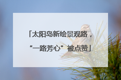 太阳岛新绘景观路，“一路芳心”被点赞