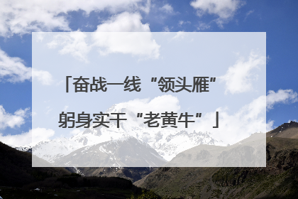奋战一线“领头雁” 躬身实干“老黄牛”