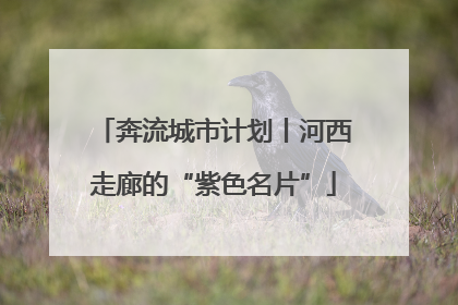奔流城市计划丨河西走廊的“紫色名片”