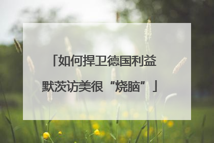 如何捍卫德国利益 默茨访美很“烧脑”