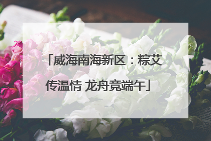 威海南海新区：粽艾传温情 龙舟竞端午