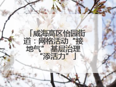 威海高区怡园街道：网格活动“接地气” 基层治理“添活力”