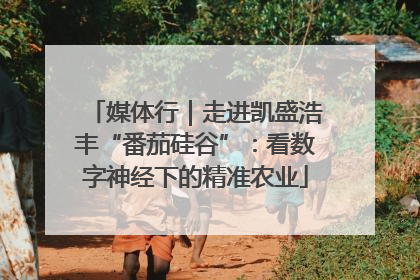 媒体行｜走进凯盛浩丰“番茄硅谷”：看数字神经下的精准农业