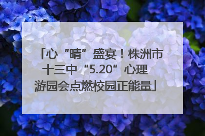 心“晴”盛宴！株洲市十三中“5.20”心理游园会点燃校园正能量