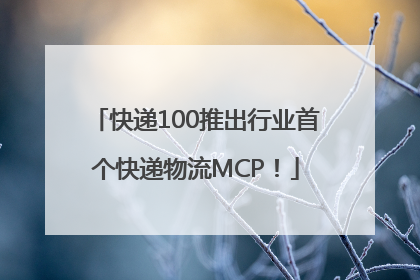 快递100推出行业首个快递物流MCP！
