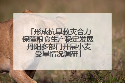 形成抗旱救灾合力 保障粮食生产稳定发展 丹阳多部门开展小麦受旱情况调研