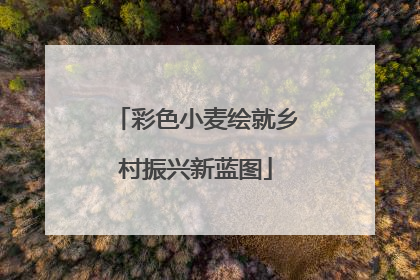 彩色小麦绘就乡村振兴新蓝图