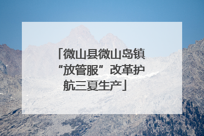 微山县微山岛镇“放管服”改革护航三夏生产