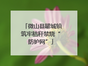 微山县驩城镇筑牢秸秆禁烧“防护网”