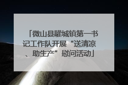 微山县驩城镇第一书记工作队开展“送清凉、助生产”慰问活动
