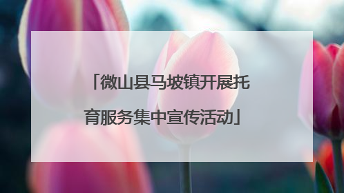 微山县马坡镇开展托育服务集中宣传活动