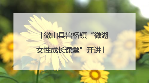 微山县鲁桥镇“微湖女性成长课堂”开讲