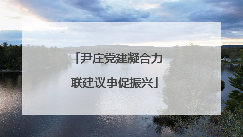 尹庄党建凝合力 联建议事促振兴
