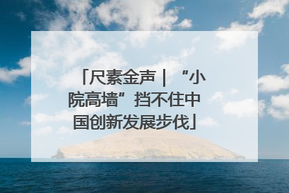 尺素金声｜“小院高墙”挡不住中国创新发展步伐