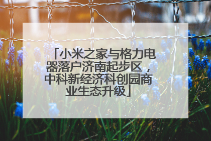 小米之家与格力电器落户济南起步区，中科新经济科创园商业生态升级