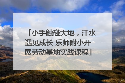 小手触碰大地，汗水遇见成长 乐师附小开展劳动基地实践课程