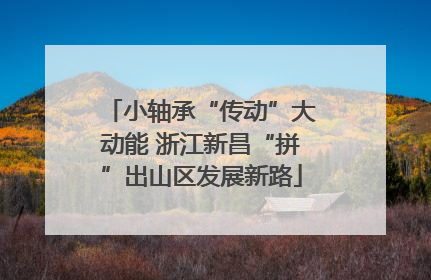 小轴承“传动”大动能 浙江新昌“拼”出山区发展新路