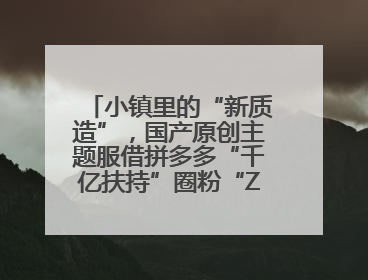 小镇里的“新质造”，国产原创主题服借拼多多“千亿扶持”圈粉“Z世代”