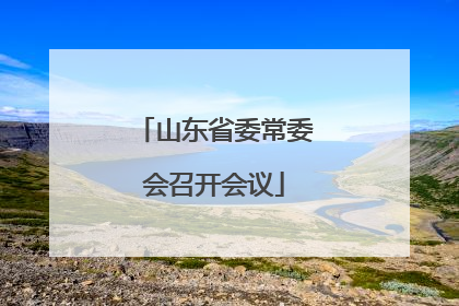山东省委常委会召开会议