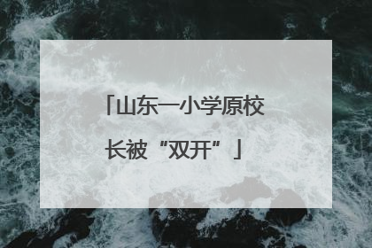 山东一小学原校长被“双开”
