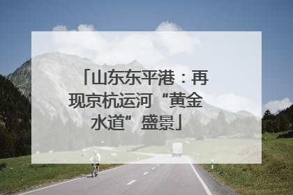山东东平港：再现京杭运河“黄金水道”盛景