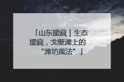 山东援藏｜生态援藏，戈壁滩上的“潍坊魔法”