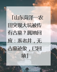 山东菏泽一农田突现大坑被传有古墓？属地回应：系老井，无古墓迹象，已回填