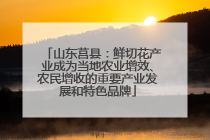 山东莒县：鲜切花产业成为当地农业增效、农民增收的重要产业发展和特色品牌