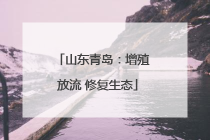 山东青岛：增殖放流 修复生态