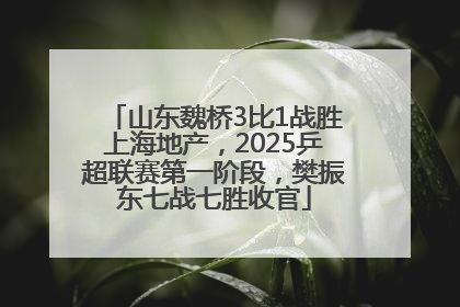 山东魏桥3比1战胜上海地产，2025乒超联赛第一阶段，樊振东七战七胜收官