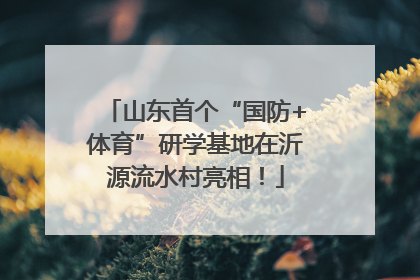 山东首个“国防+体育”研学基地在沂源流水村亮相！