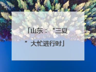 山东：“三夏”大忙进行时
