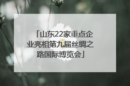 山东22家重点企业亮相第九届丝绸之路国际博览会